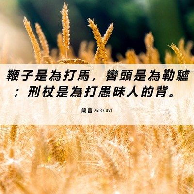 Picture 06 - 箴 言 26:3 CUVT - 鞭 子 是 為 打 馬 ， 轡 頭 是 為 勒 - Bible Verse Picture