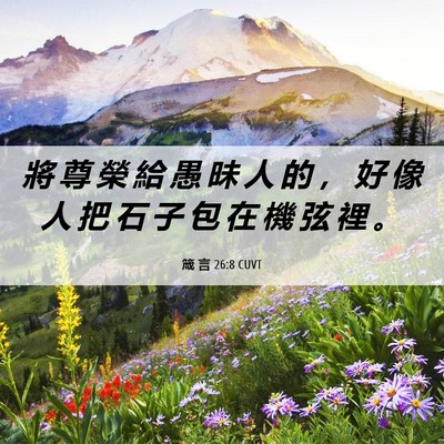Picture 06 - 箴 言 26:8 CUVT - 將 尊 榮 給 愚 昧 人 的 ， 好 像 人 - Bible Verse Picture