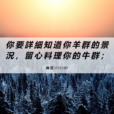 Picture 06 - 箴 言 27:23 CUVT - 你 要 詳 細 知 道 你 羊 群 的 景 況 - Bible Verse Picture