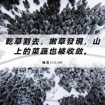 Picture 06 - 箴 言 27:25 CUVT - 乾 草 割 去 ， 嫩 草 發 現 ， 山 上 - Bible Verse Picture