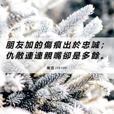 Picture 06 - 箴 言 27:6 CUVT - 朋 友 加 的 傷 痕 出 於 忠 誠 ； 仇 - Bible Verse Picture