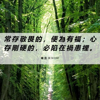 Picture 06 - 箴 言 28:14 CUVT - 常 存 敬 畏 的 ， 便 為 有 福 ； 心 - Bible Verse Picture