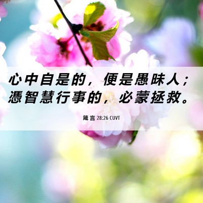 Picture 06 - 箴 言 28:26 CUVT - 心 中 自 是 的 ， 便 是 愚 昧 人 ； - Bible Verse Picture