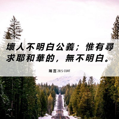 Picture 06 - 箴 言 28:5 CUVT - 壞 人 不 明 白 公 義 ； 惟 有 尋 求 - Bible Verse Picture