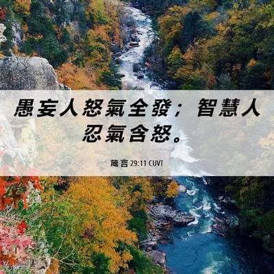 Picture 06 - 箴 言 29:11 CUVT - 愚 妄 人 怒 氣 全 發 ； 智 慧 人 忍 - Bible Verse Picture