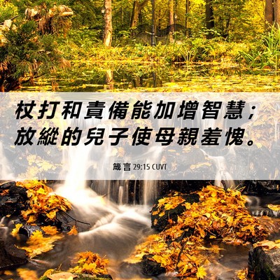 Picture 06 - 箴 言 29:15 CUVT - 杖 打 和 責 備 能 加 增 智 慧 ； 放 - Bible Verse Picture