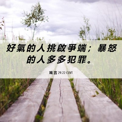 Picture 06 - 箴 言 29:22 CUVT - 好 氣 的 人 挑 啟 爭 端 ； 暴 怒 的 - Bible Verse Picture