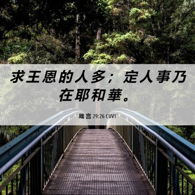 Picture 06 - 箴 言 29:26 CUVT - 求 王 恩 的 人 多 ； 定 人 事 乃 在 - Bible Verse Picture