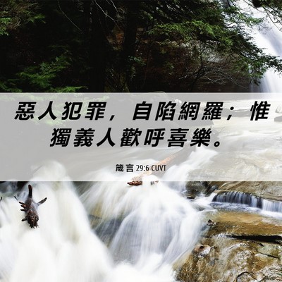 Picture 06 - 箴 言 29:6 CUVT - 惡 人 犯 罪 ， 自 陷 網 羅 ； 惟 獨 - Bible Verse Picture