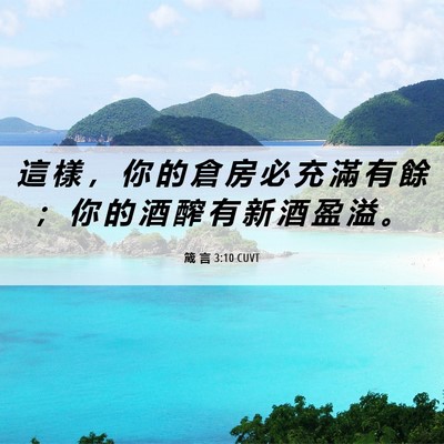 Picture 06 - 箴 言 3:10 CUVT - 這 樣 ， 你 的 倉 房 必 充 滿 有 餘 - Bible Verse Picture