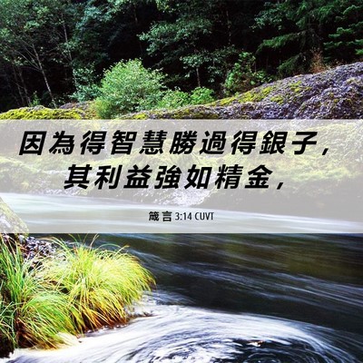Picture 06 - 箴 言 3:14 CUVT - 因 為 得 智 慧 勝 過 得 銀 子 ， 其 - Bible Verse Picture