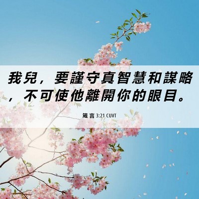 Picture 06 - 箴 言 3:21 CUVT - 我 兒 ， 要 謹 守 真 智 慧 和 謀 略 - Bible Verse Picture