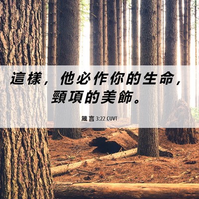 Picture 06 - 箴 言 3:22 CUVT - 這 樣 ， 他 必 作 你 的 生 命 ， 頸 - Bible Verse Picture
