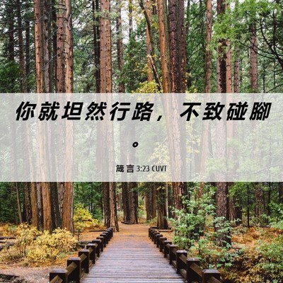 Picture 06 - 箴 言 3:23 CUVT - 你 就 坦 然 行 路 ， 不 致 碰 腳 - Bible Verse Picture