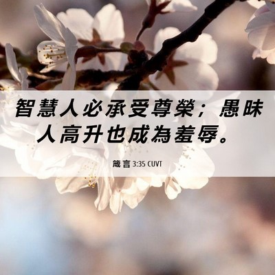 Picture 06 - 箴 言 3:35 CUVT - 智 慧 人 必 承 受 尊 榮 ； 愚 昧 人 - Bible Verse Picture