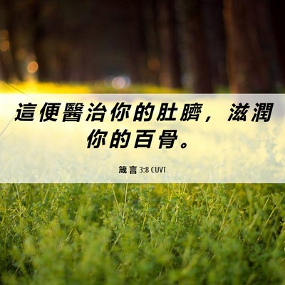 Picture 06 - 箴 言 3:8 CUVT - 這 便 醫 治 你 的 肚 臍 ， 滋 潤 你 - Bible Verse Picture