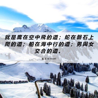 Picture 06 - 箴 言 30:19 CUVT - 就 是 鷹 在 空 中 飛 的 道 ； 蛇 在 - Bible Verse Picture