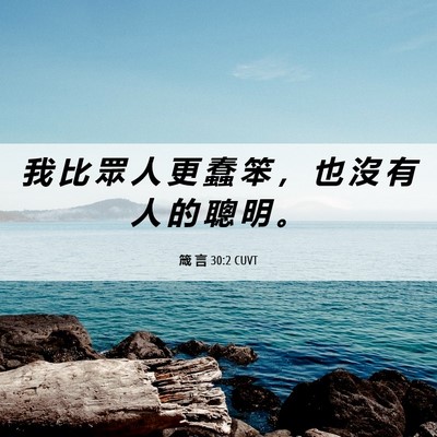 Picture 06 - 箴 言 30:2 CUVT - 我 比 眾 人 更 蠢 笨 ， 也 沒 有 人 - Bible Verse Picture
