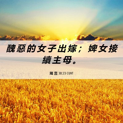 Picture 06 - 箴 言 30:23 CUVT - 醜 惡 的 女 子 出 嫁 ； 婢 女 接 續 - Bible Verse Picture