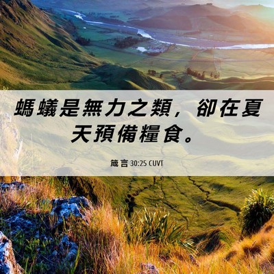 Picture 06 - 箴 言 30:25 CUVT - 螞 蟻 是 無 力 之 類 ， 卻 在 夏 天 - Bible Verse Picture
