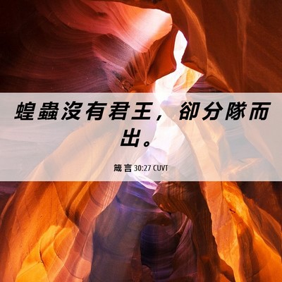 Picture 06 - 箴 言 30:27 CUVT - 蝗 蟲 沒 有 君 王 ， 卻 分 隊 而 出 - Bible Verse Picture