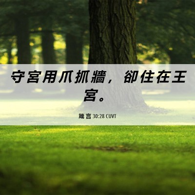 Picture 06 - 箴 言 30:28 CUVT - 守 宮 用 爪 抓 牆 ， 卻 住 在 王 宮 - Bible Verse Picture