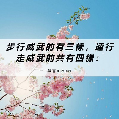 Picture 06 - 箴 言 30:29 CUVT - 步 行 威 武 的 有 三 樣 ， 連 行 走 - Bible Verse Picture