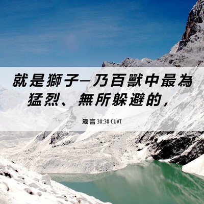 Picture 06 - 箴 言 30:30 CUVT - 就 是 獅 子 ─ 乃 百 獸 中 最 為 猛 - Bible Verse Picture