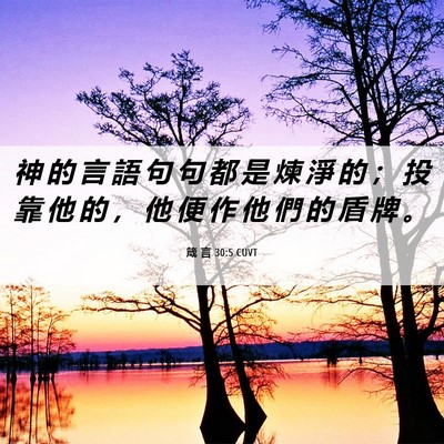 Picture 06 - 箴 言 30:5 CUVT - 神 的 言 語 句 句 都 是 煉 淨 的 ； - Bible Verse Picture