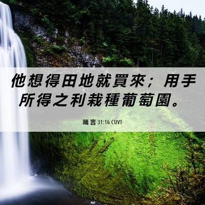 Picture 06 - 箴 言 31:16 CUVT - 他 想 得 田 地 就 買 來 ； 用 手 所 - Bible Verse Picture