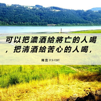 Picture 06 - 箴 言 31:6 CUVT - 可 以 把 濃 酒 給 將 亡 的 人 喝 ， - Bible Verse Picture