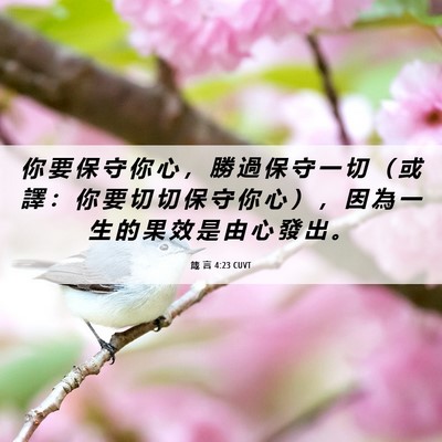 Picture 06 - 箴 言 4:23 CUVT - 你 要 保 守 你 心 ， 勝 過 保 守 一 - Bible Verse Picture