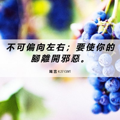 Picture 06 - 箴 言 4:27 CUVT - 不 可 偏 向 左 右 ； 要 使 你 的 腳 - Bible Verse Picture