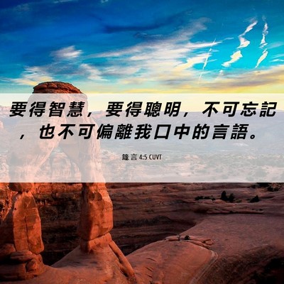 Picture 06 - 箴 言 4:5 CUVT - 要 得 智 慧 ， 要 得 聰 明 ， 不 可 - Bible Verse Picture