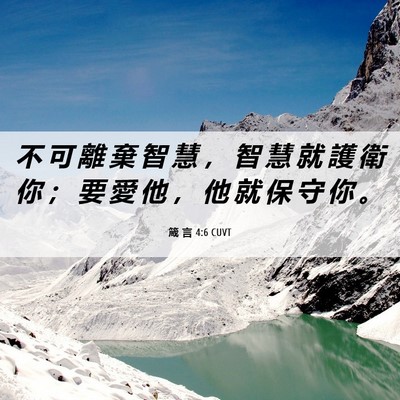 Picture 06 - 箴 言 4:6 CUVT - 不 可 離 棄 智 慧 ， 智 慧 就 護 衛 - Bible Verse Picture