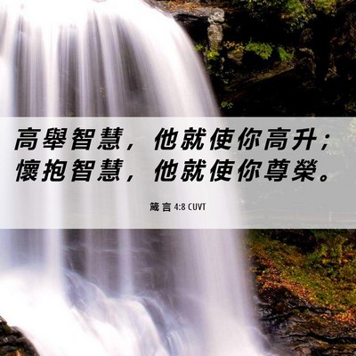 Picture 06 - 箴 言 4:8 CUVT - 高 舉 智 慧 ， 他 就 使 你 高 升 ； - Bible Verse Picture