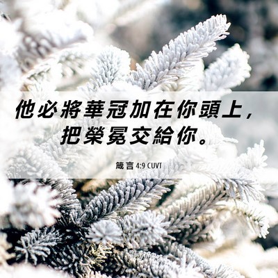Picture 06 - 箴 言 4:9 CUVT - 他 必 將 華 冠 加 在 你 頭 上 ， 把 - Bible Verse Picture