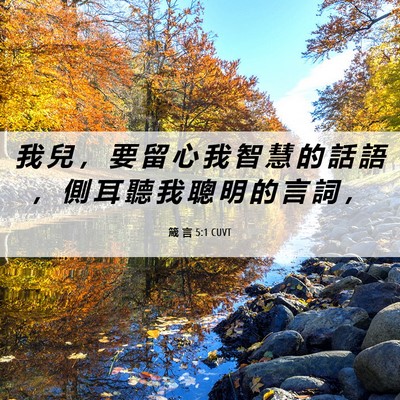 Picture 06 - 箴 言 5:1 CUVT - 我 兒 ， 要 留 心 我 智 慧 的 話 語 - Bible Verse Picture
