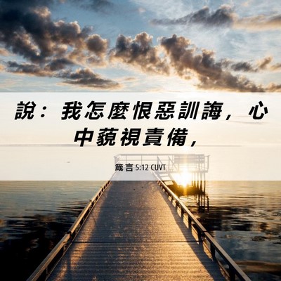 Picture 06 - 箴 言 5:12 CUVT - 說 ： 我 怎 麼 恨 惡 訓 誨 ， 心 中 - Bible Verse Picture