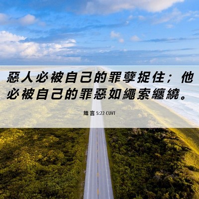 Picture 06 - 箴 言 5:22 CUVT - 惡 人 必 被 自 己 的 罪 孽 捉 住 ； - Bible Verse Picture
