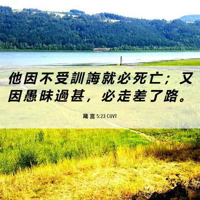 Picture 06 - 箴 言 5:23 CUVT - 他 因 不 受 訓 誨 就 必 死 亡 ； 又 - Bible Verse Picture