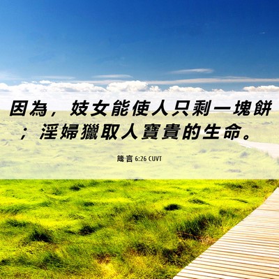 Picture 06 - 箴 言 6:26 CUVT - 因 為 ， 妓 女 能 使 人 只 剩 一 塊 - Bible Verse Picture
