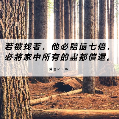 Picture 06 - 箴 言 6:31 CUVT - 若 被 找 著 ， 他 必 賠 還 七 倍 ， - Bible Verse Picture