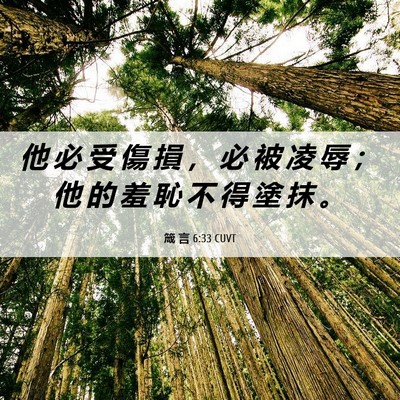 Picture 06 - 箴 言 6:33 CUVT - 他 必 受 傷 損 ， 必 被 凌 辱 ； 他 - Bible Verse Picture
