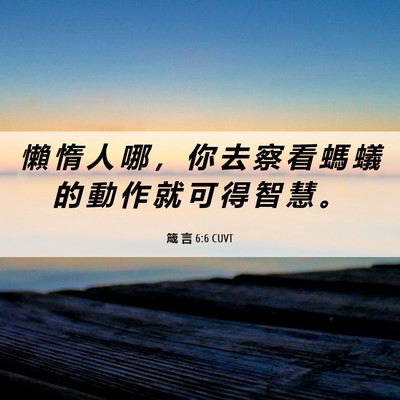 Picture 06 - 箴 言 6:6 CUVT - 懶 惰 人 哪 ， 你 去 察 看 螞 蟻 的 - Bible Verse Picture