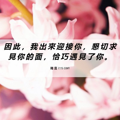 Picture 06 - 箴 言 7:15 CUVT - 因 此 ， 我 出 來 迎 接 你 ， 懇 切 - Bible Verse Picture