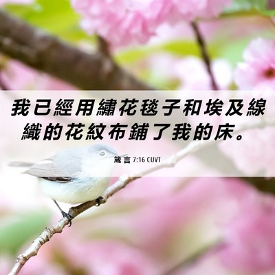 Picture 06 - 箴 言 7:16 CUVT - 我 已 經 用 繡 花 毯 子 和 埃 及 線 - Bible Verse Picture