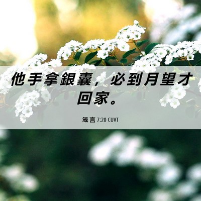 Picture 06 - 箴 言 7:20 CUVT - 他 手 拿 銀 囊 ， 必 到 月 望 才 回 - Bible Verse Picture