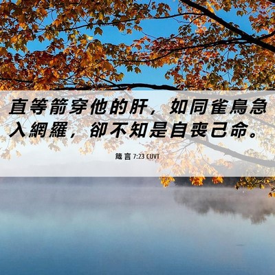 Picture 06 - 箴 言 7:23 CUVT - 直 等 箭 穿 他 的 肝 ， 如 同 雀 鳥 - Bible Verse Picture