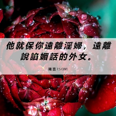 Picture 06 - 箴 言 7:5 CUVT - 他 就 保 你 遠 離 淫 婦 ， 遠 離 說 - Bible Verse Picture